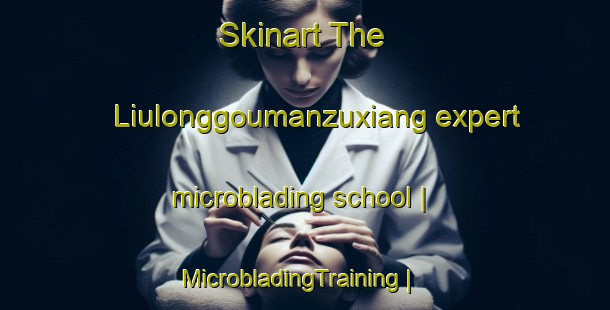 Skinart The Liulonggoumanzuxiang expert microblading school | MicrobladingTraining | MicrobladingClasses | SkinartTraining-China